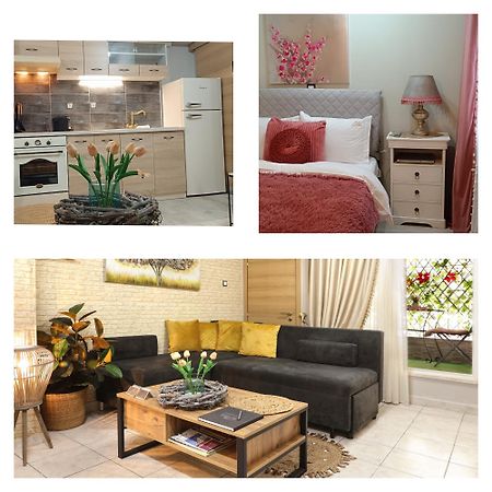 Iris Cozy House Με Ανεξάρτητη Είσοδο Apartment โวโลส ภายนอก รูปภาพ